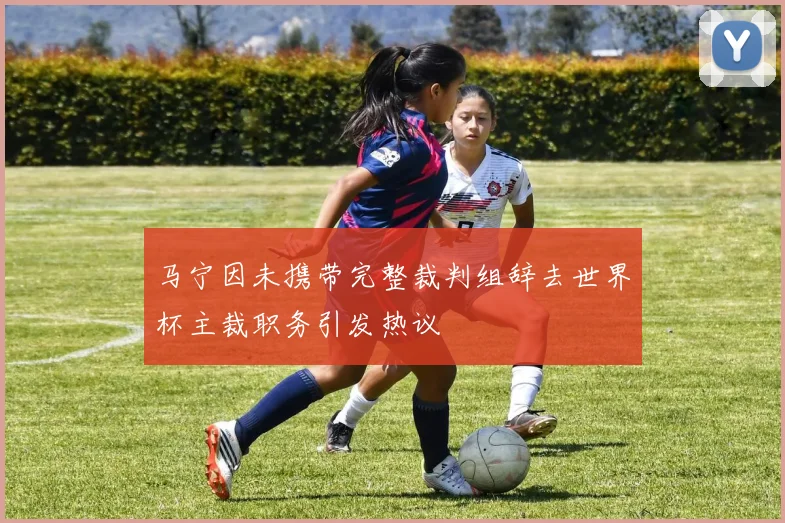 马宁因未携带完整裁判组辞去世界杯主裁职务引发热议