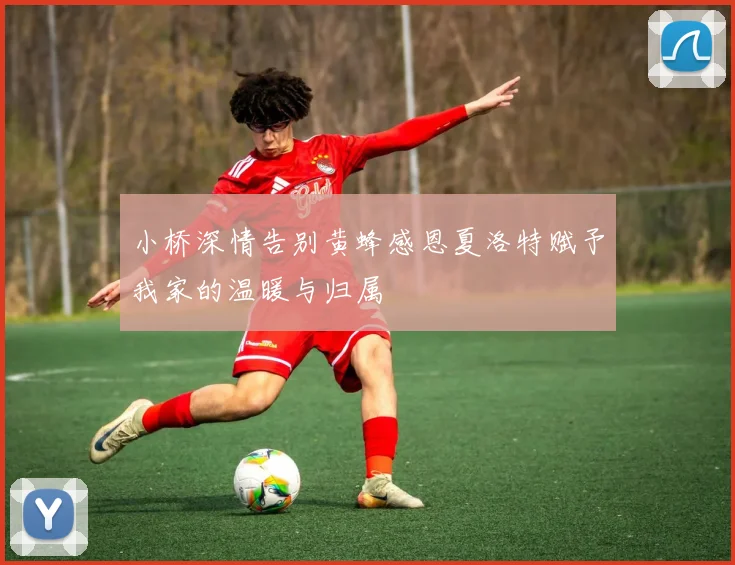小桥深情告别黄蜂感恩夏洛特赋予我家的温暖与归属